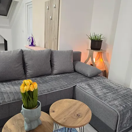 Apartment Doksim Luxury 101 Pirot
