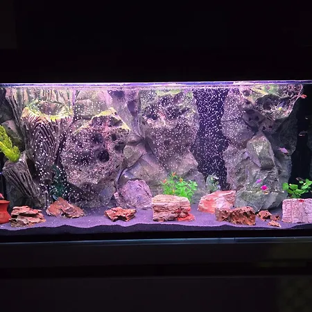 Appartement Doksim Luxury 201 Pirot